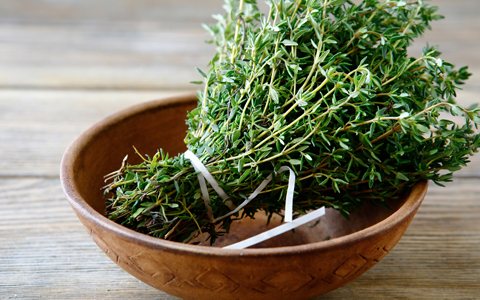 thyme_image_480x300